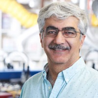 Iraj Sadeh